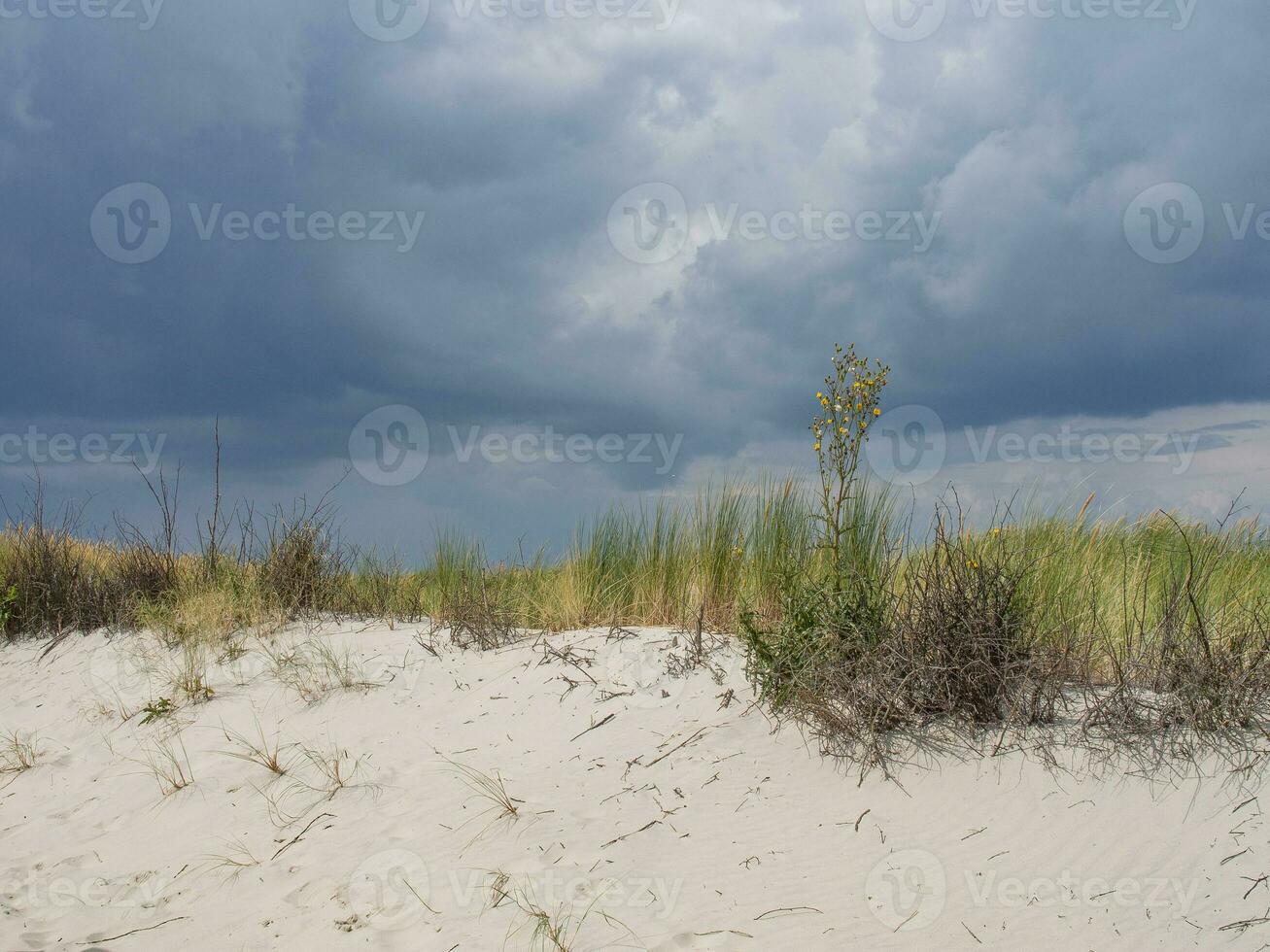 spiekeroog isola nel il nord mare foto