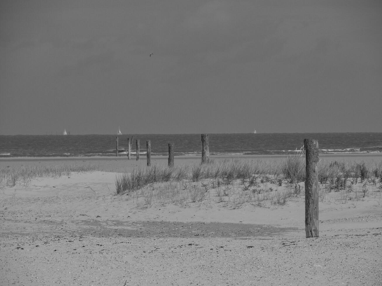 l'isola di Spiekeroog in Germania foto