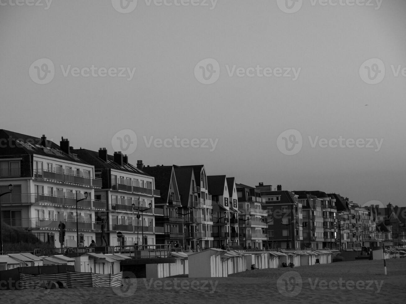 de haan a il nord mare nel Belgio foto