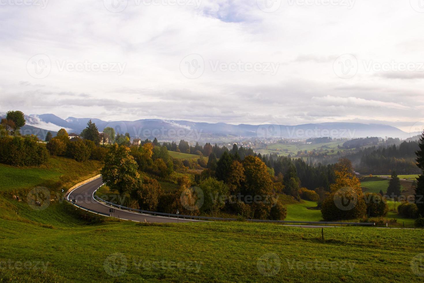 strada attraverso un paesaggio forestale foto