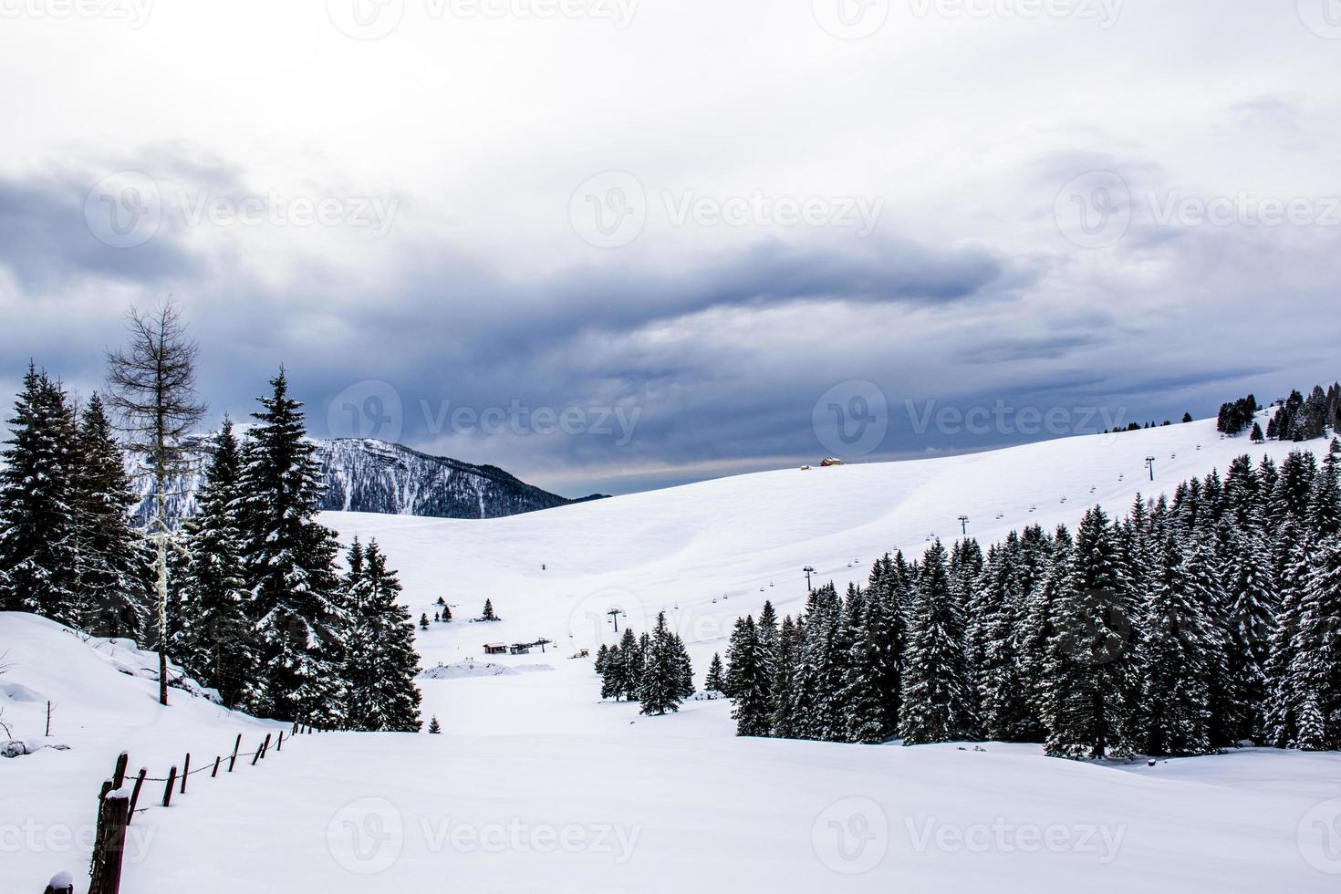 paesaggio innevato con alberi di pino foto