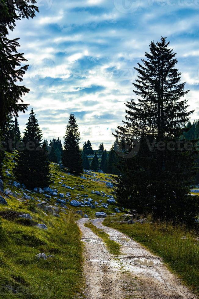 strada attraverso un paesaggio di montagna foto