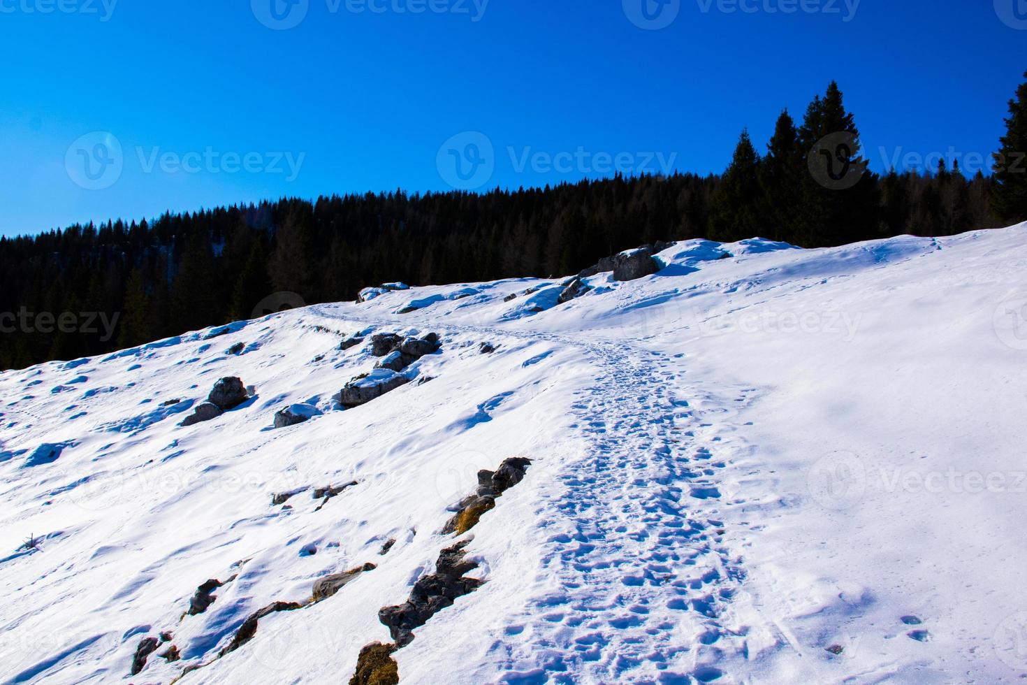 tracce nella neve e nel cielo azzurro foto