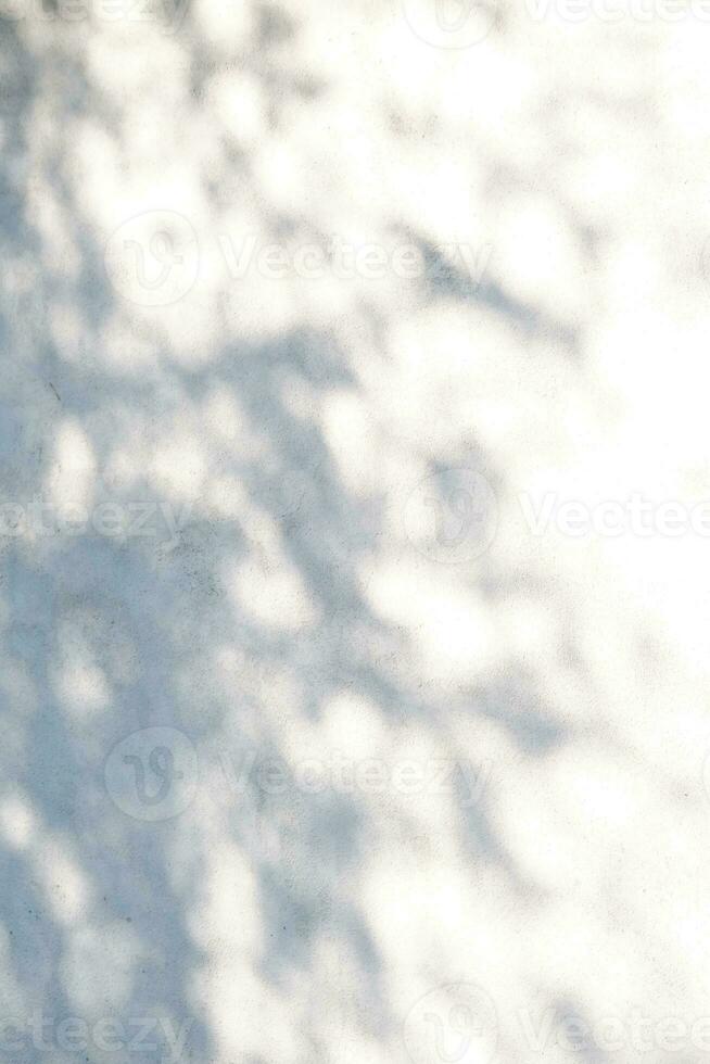 un' parete con ombre a partire dal le foglie. astratto sfondo. foto