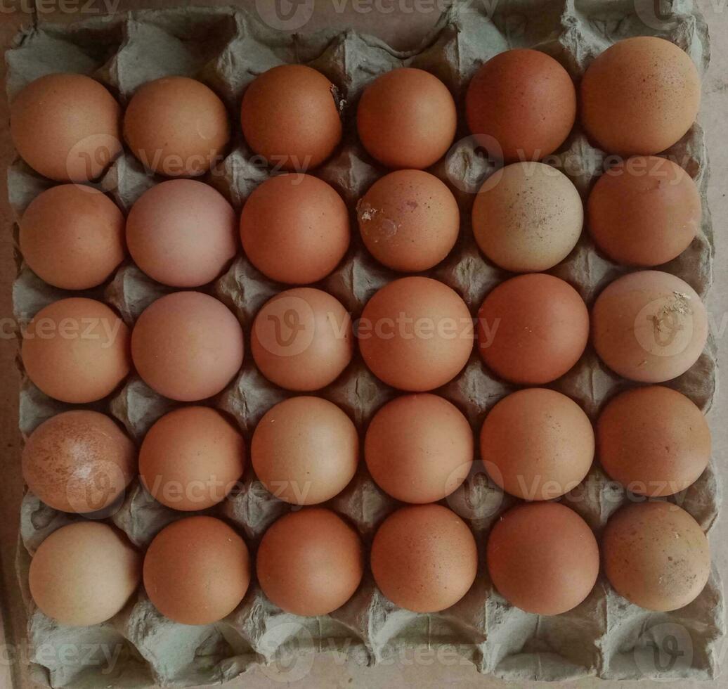 di base cibo - fotografia di un' mazzo di uova su il uovo vassoio foto