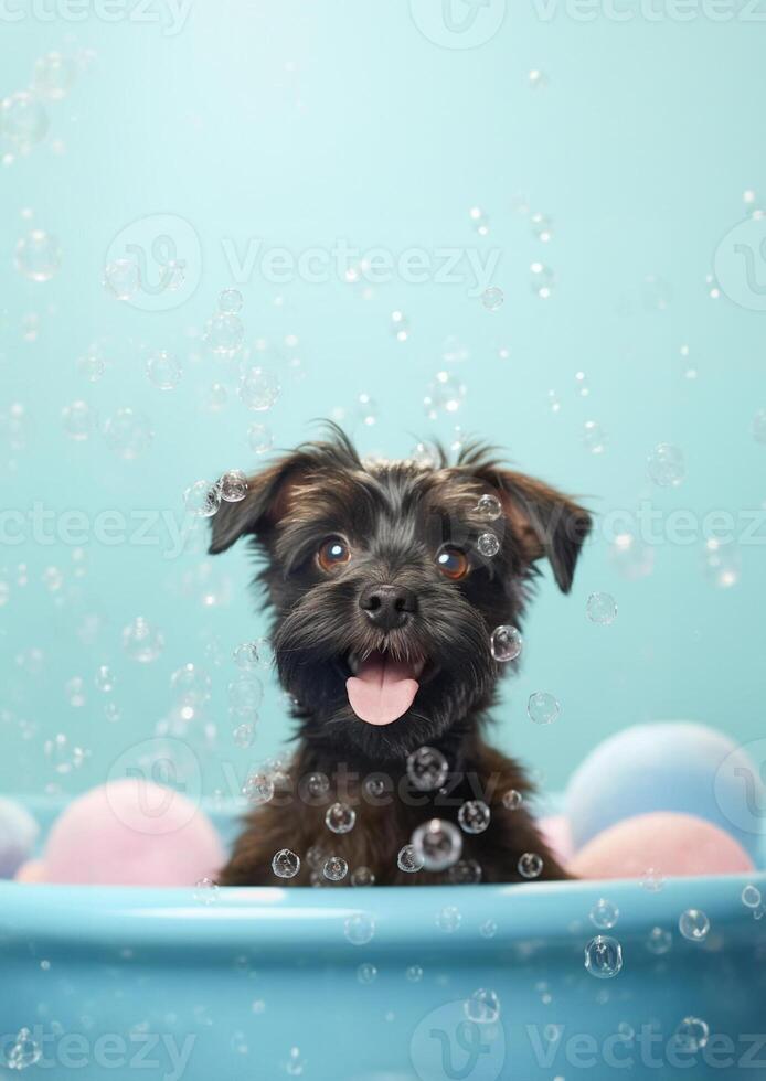 affenpinscher cane nel un' piccolo vasca da bagno con sapone schiuma e bolle, generativo ai. foto