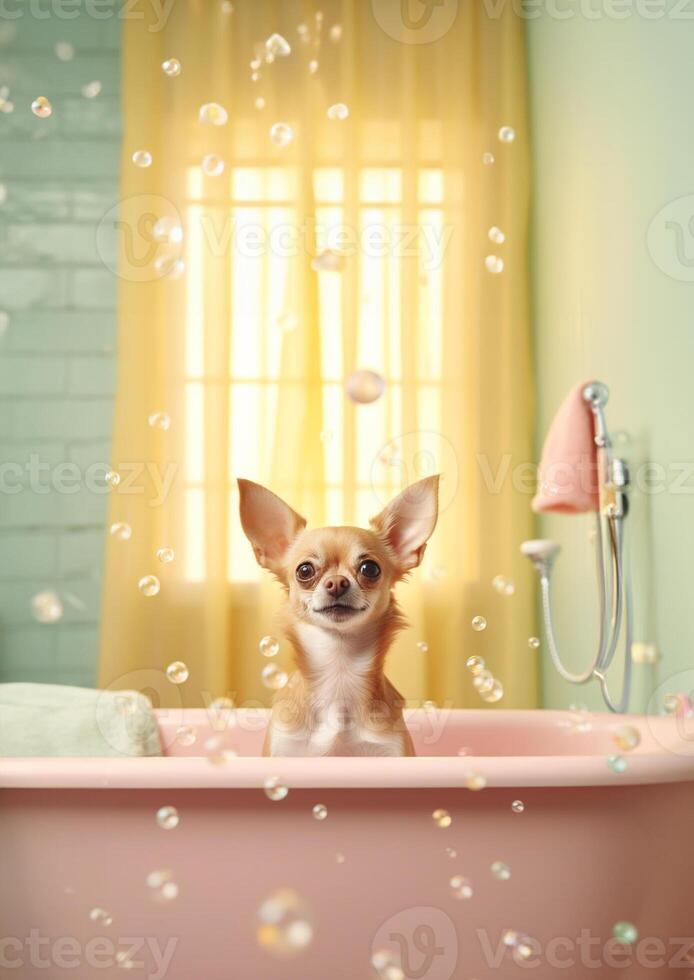 carino chihuahua cane nel un' piccolo vasca da bagno con sapone schiuma e bolle, carino pastello colori, generativo ai. foto