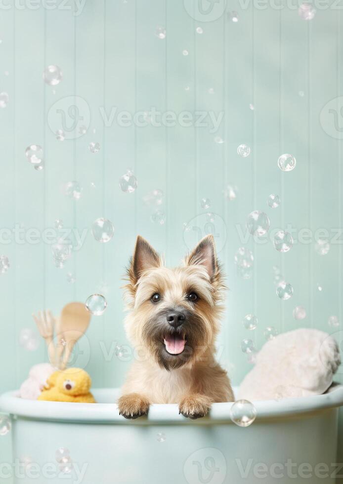 carino tumulo terrier cane nel un' piccolo vasca da bagno con sapone schiuma e bolle, carino pastello colori, generativo ai. foto