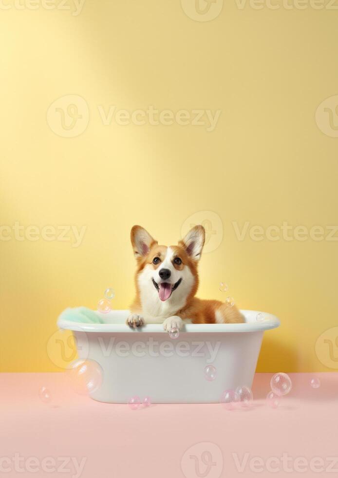 carino pembroke gallese corgi cane nel un' piccolo vasca da bagno con sapone schiuma e bolle, carino pastello colori, generativo ai. foto