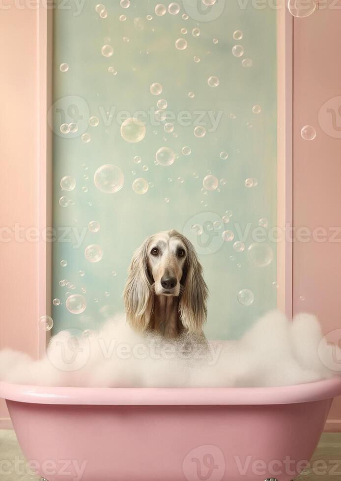 carino afgano cane da caccia cane nel un' piccolo vasca da bagno con sapone schiuma e bolle, carino pastello colori, generativo ai. foto