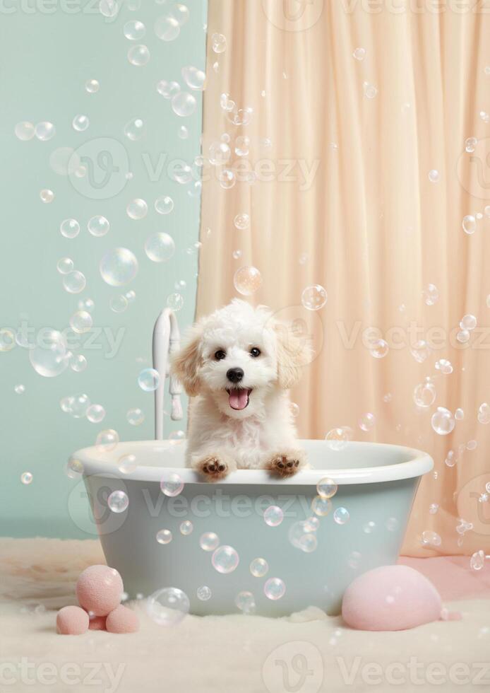 carino maltipoo cane nel un' piccolo vasca da bagno con sapone schiuma e bolle, carino pastello colori, generativo ai. foto