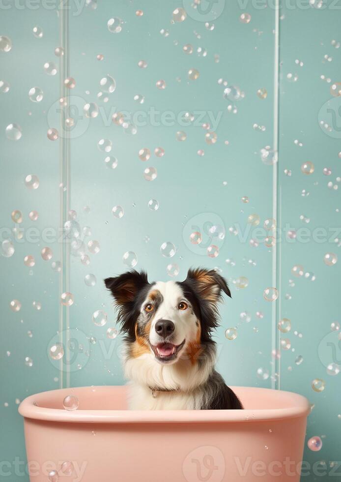 carino confine collie cane nel un' piccolo vasca da bagno con sapone schiuma e bolle, carino pastello colore, generativo ai. foto