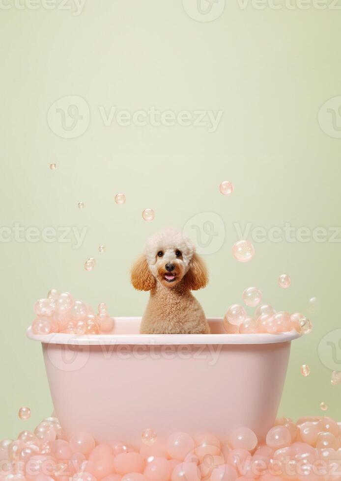 carino barboncino cane nel un' piccolo vasca da bagno con sapone schiuma e bolle, carino pastello colori, generativo ai. foto