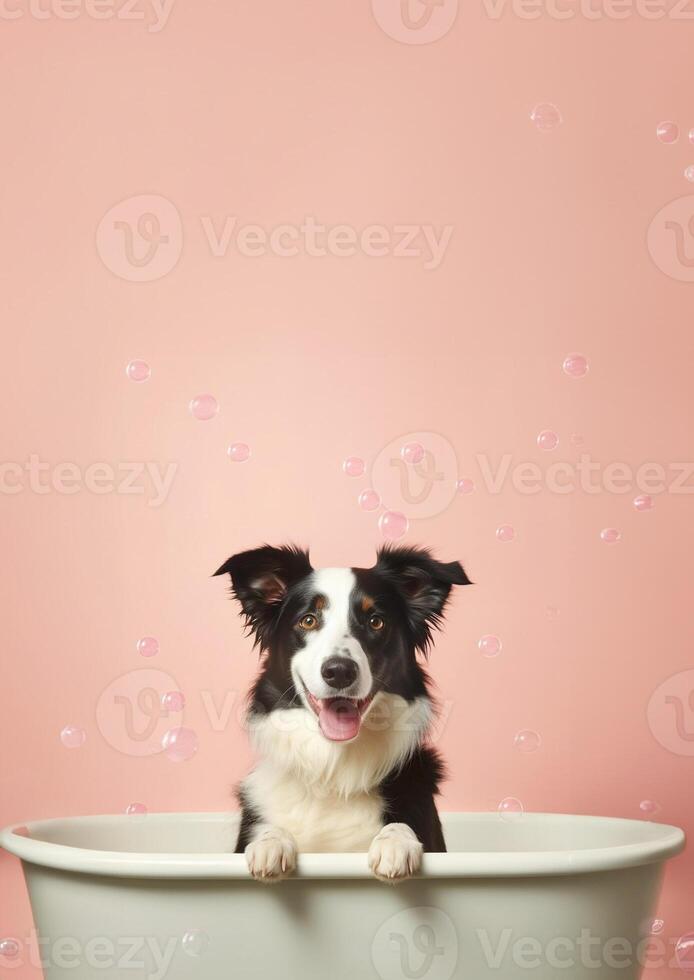 carino confine collie cane nel un' piccolo vasca da bagno con sapone schiuma e bolle, carino pastello colore, generativo ai. foto