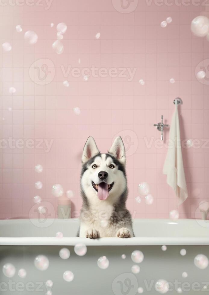 carino siberiano rauco cane nel un' piccolo vasca da bagno con sapone schiuma e bolle, carino pastello colori, generativo ai. foto