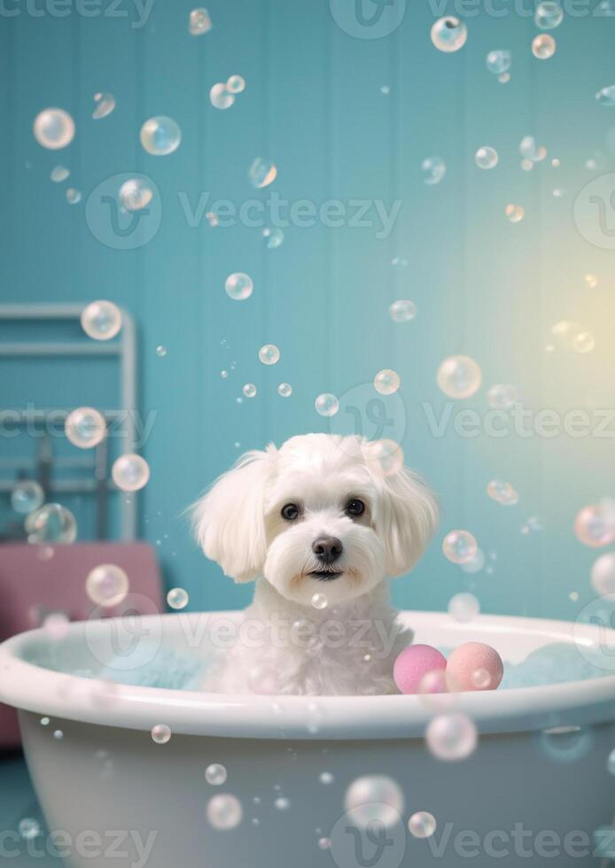 carino maltese cane nel un' piccolo vasca da bagno con sapone schiuma e bolle, carino pastello colori, generativo ai. foto