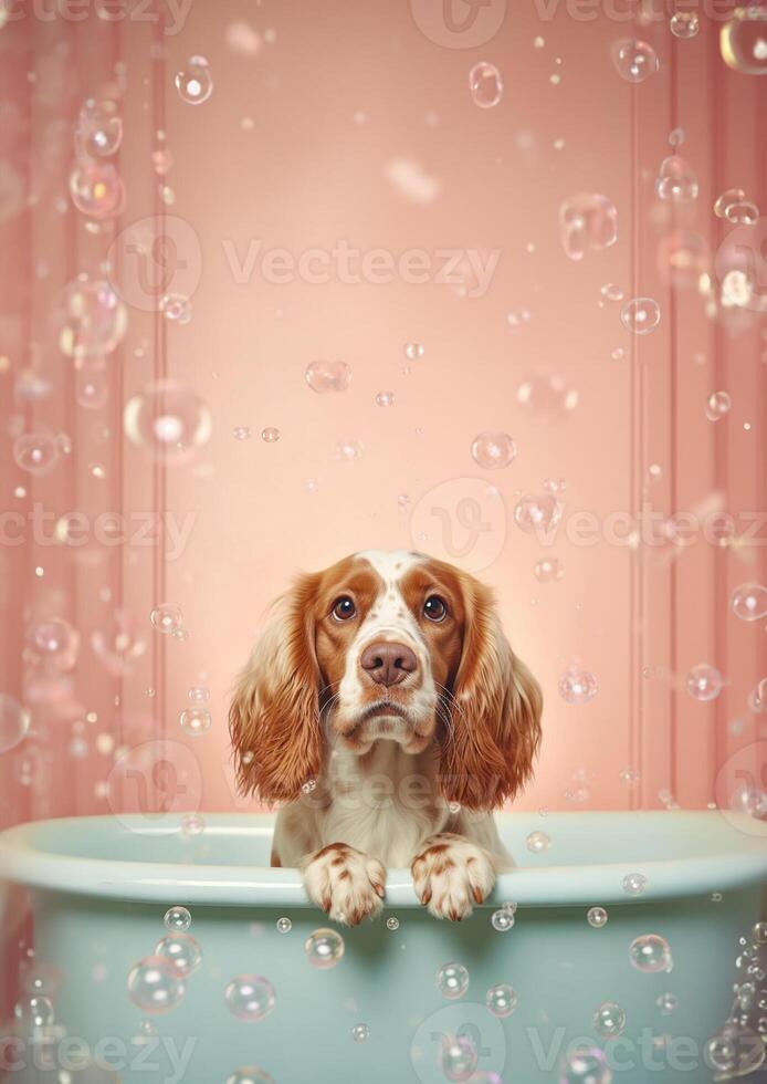 carino inglese cocker spaniel cane nel un' piccolo vasca da bagno con sapone schiuma e bolle, carino pastello colori, generativo ai. foto