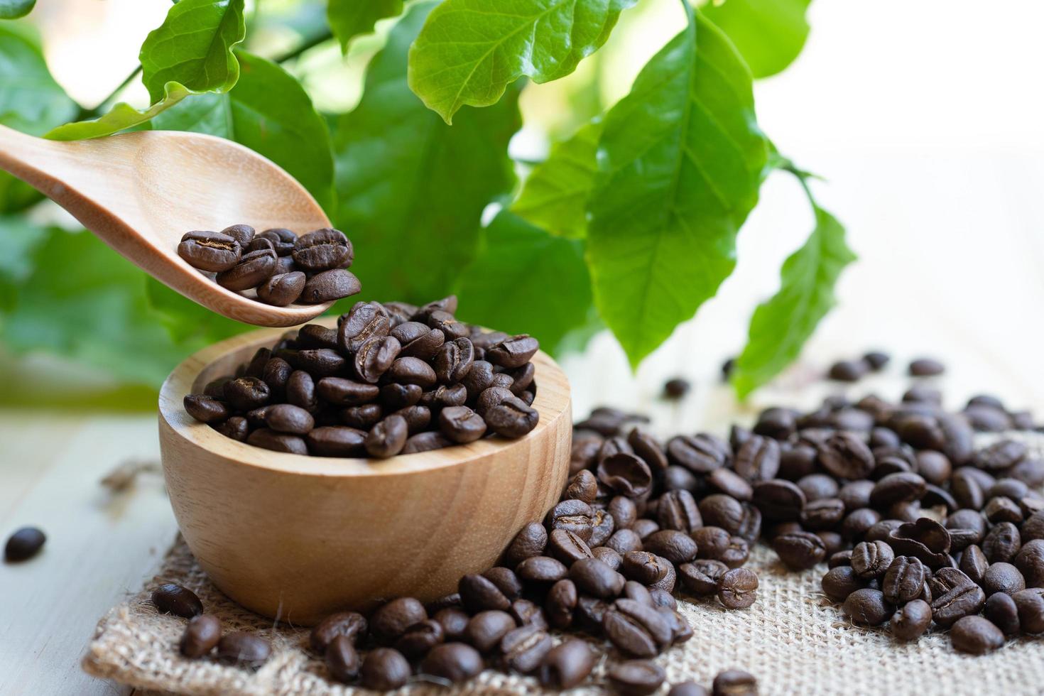 chicco di caffè tostato medio in ciotola di legno con foglia foto