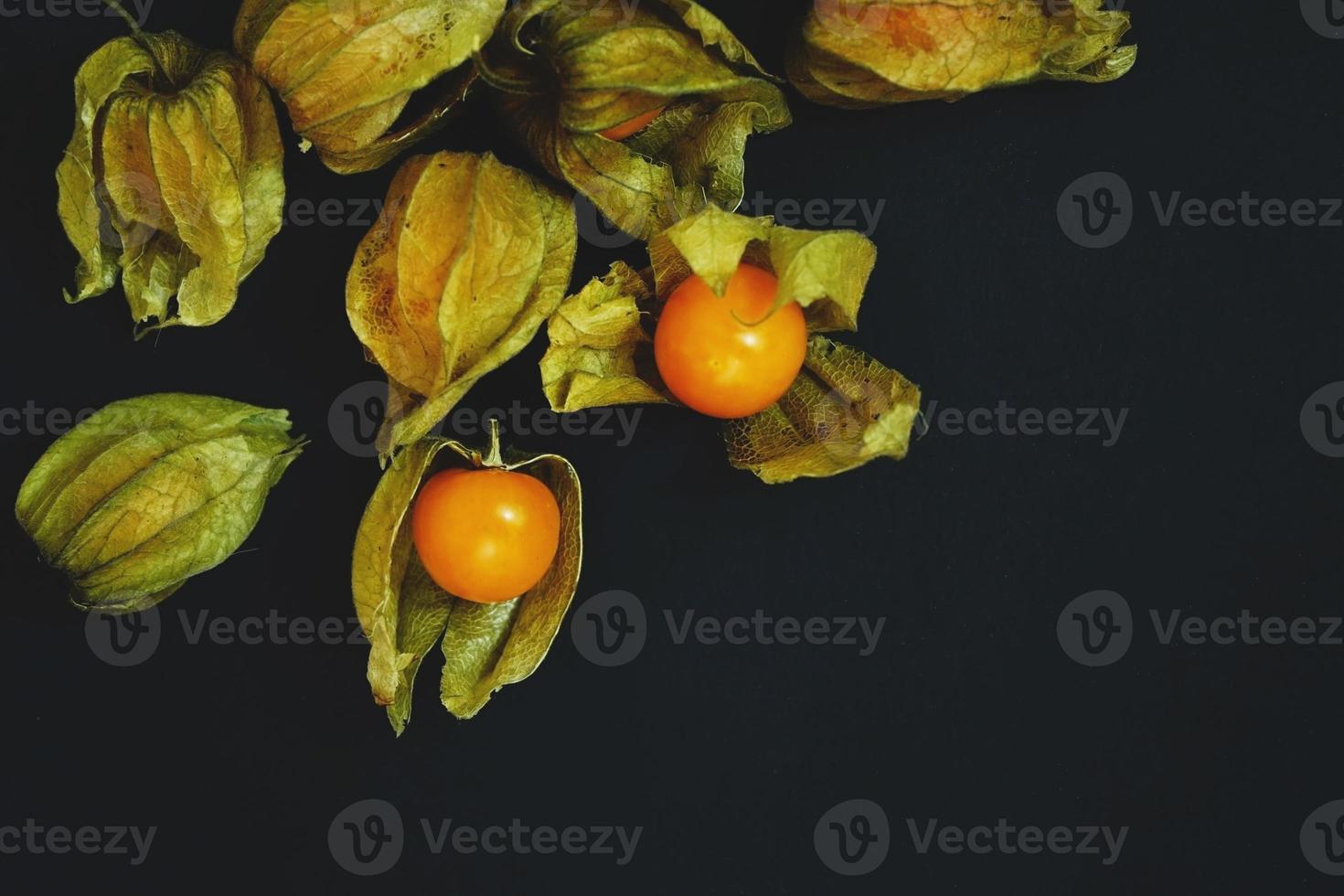 bello ed elegante macro primo piano di un sacco di frutta gustosa arancione denominata physalis dal Perù, sud america, isolata con sfondo nero e spazio foto