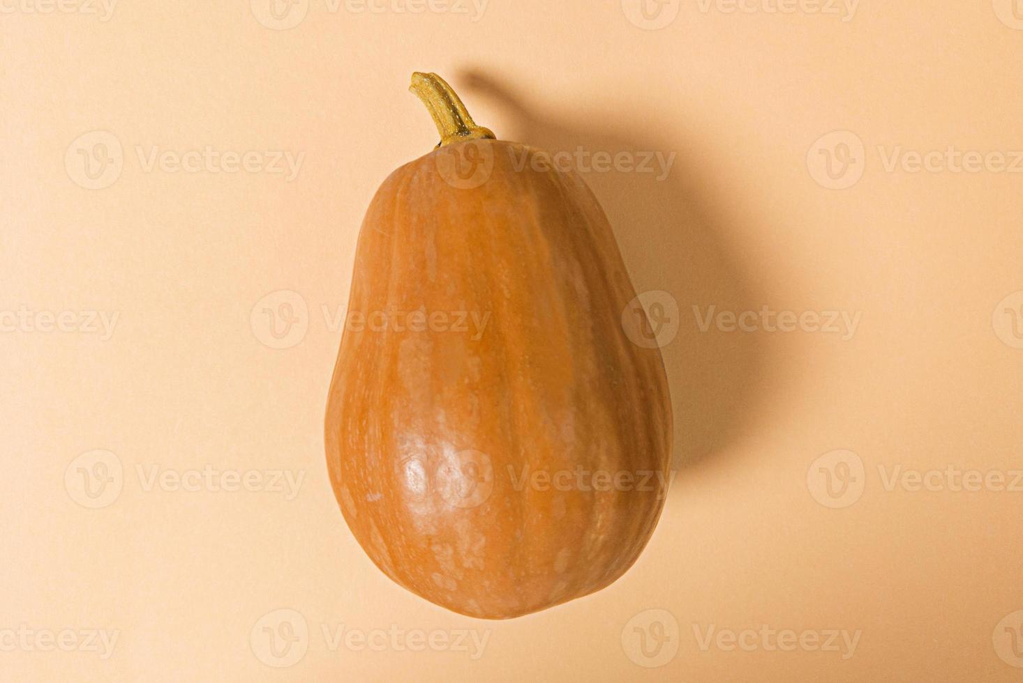 zucca nel mezzo di uno sfondo beige. semplice posa piatta. foto