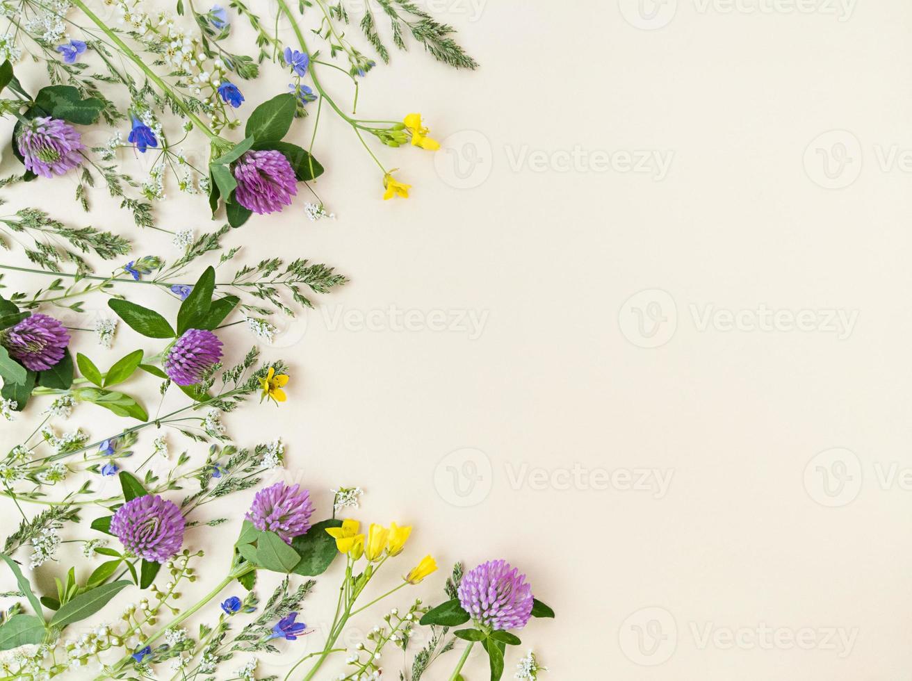 mix di fiori di campo su sfondo beige con copia spazio. foto