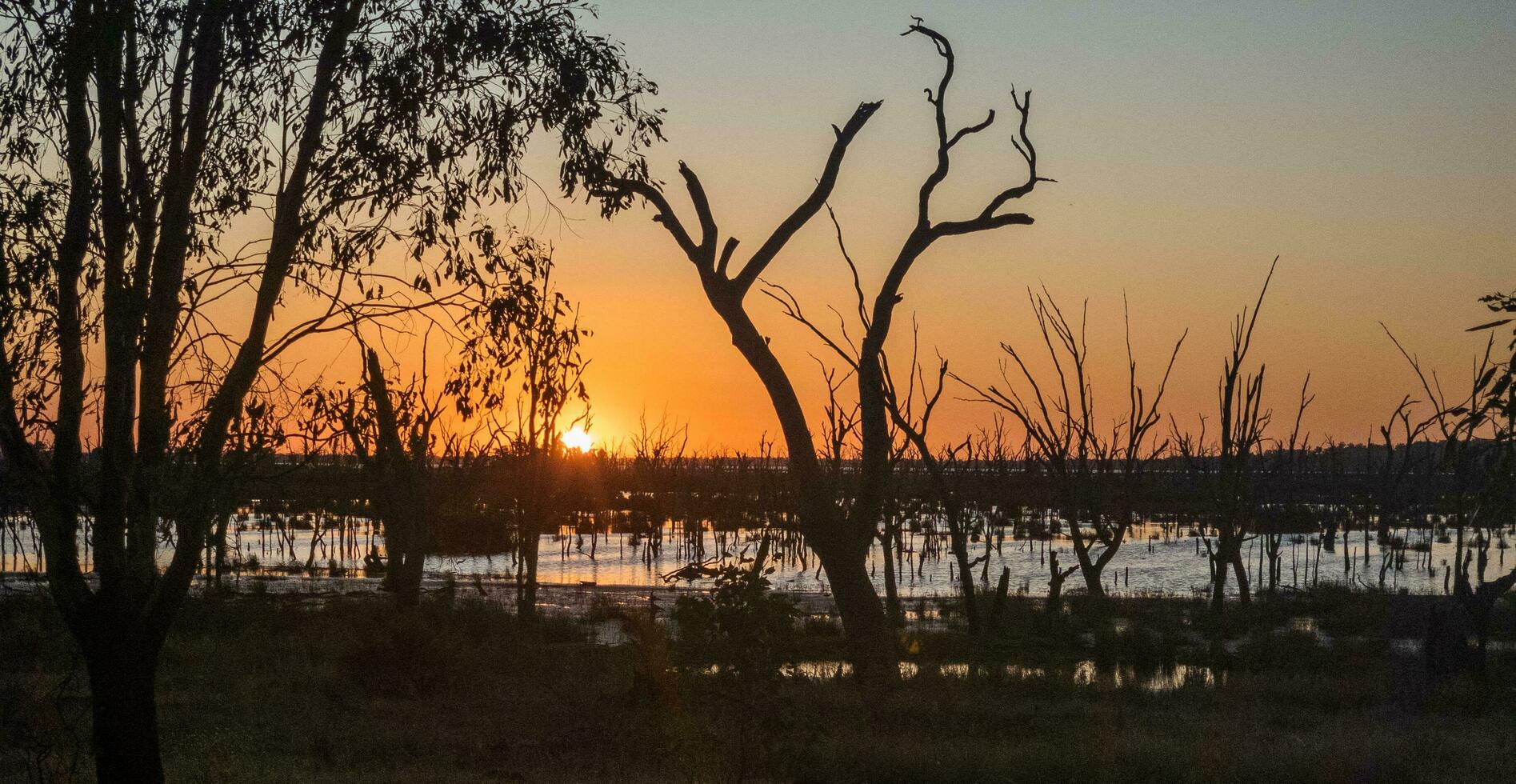 Winton zone umide, vittoria, Australia foto