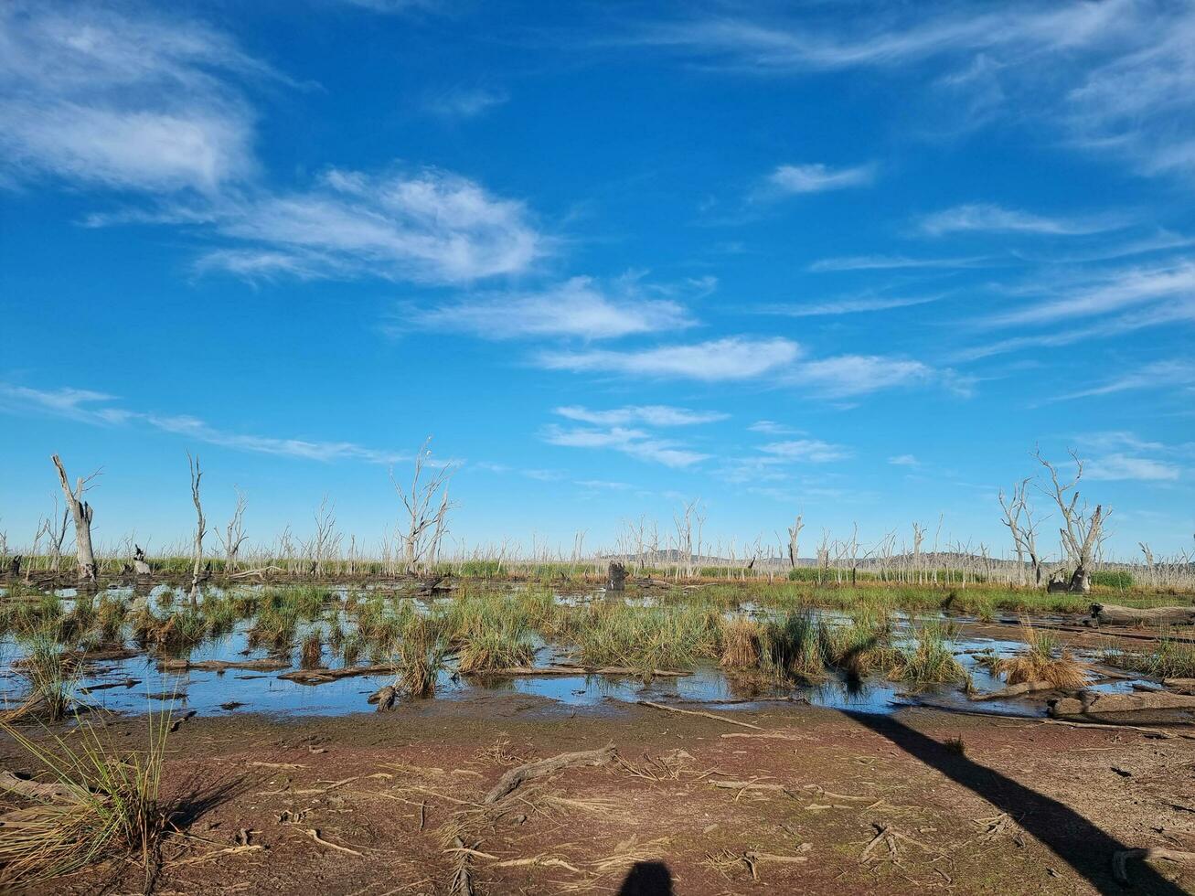 Winton zone umide, vittoria, Australia foto