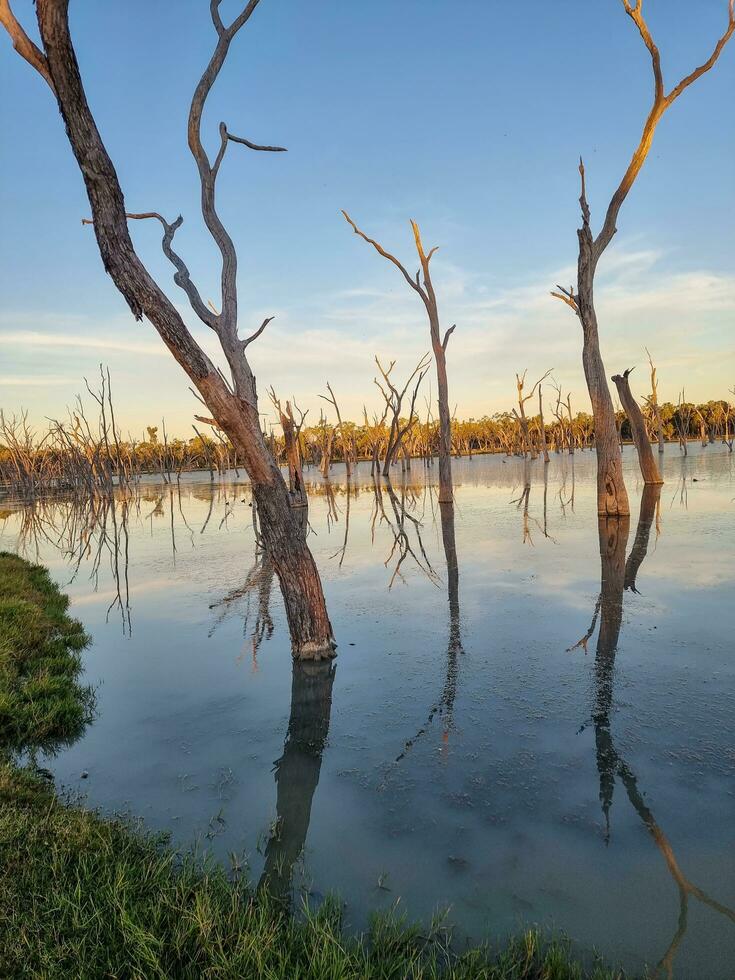 lara zone umide, Queensland Australia foto