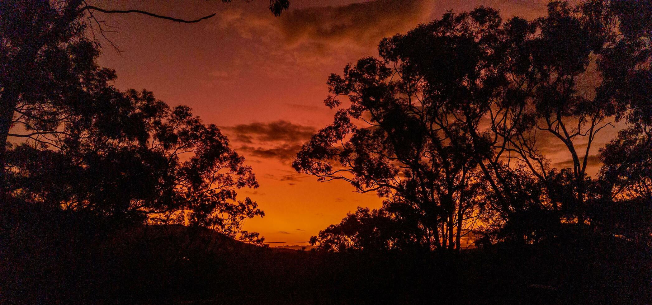 montare carabina, Queensland Australia foto