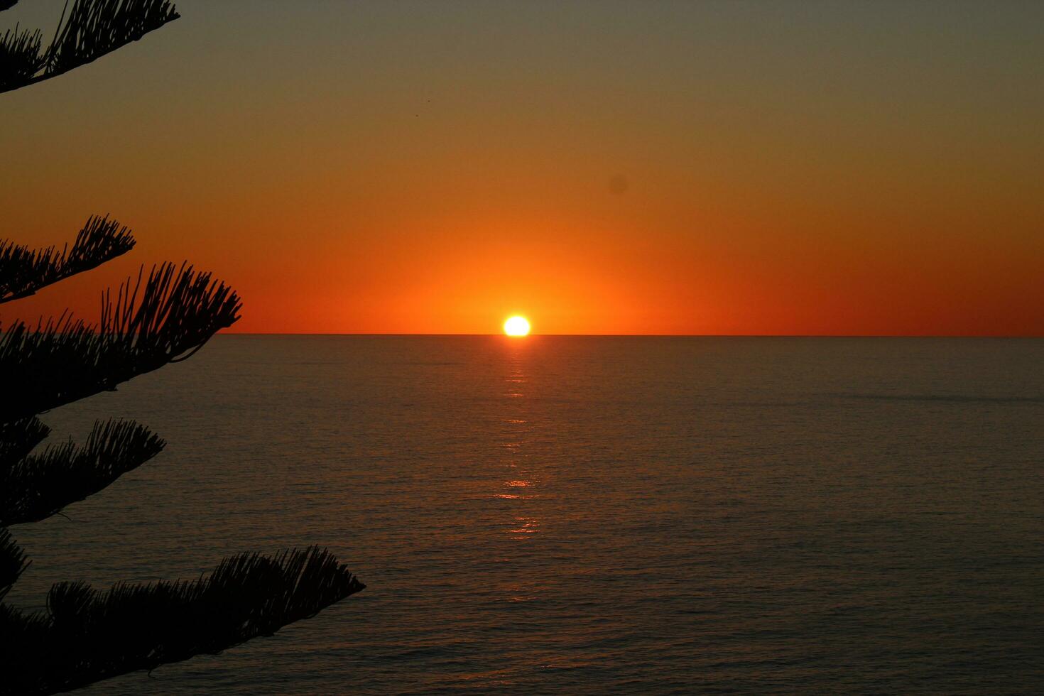 norfolk isola scenario, Australia foto