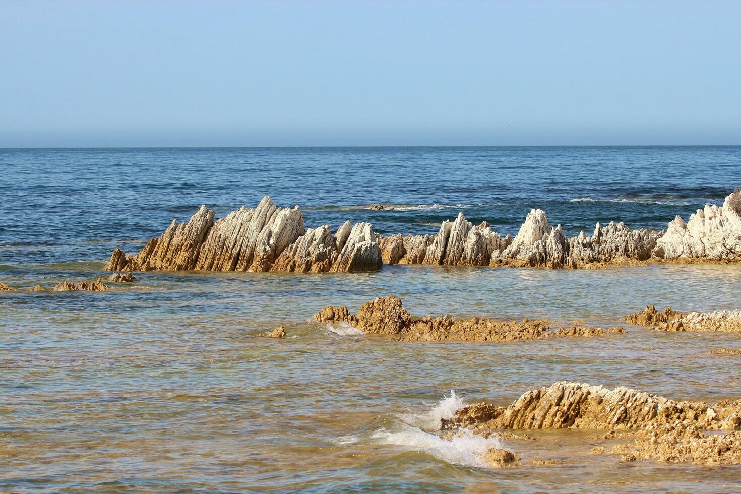 Kaikoura, nuovo Zelanda foto