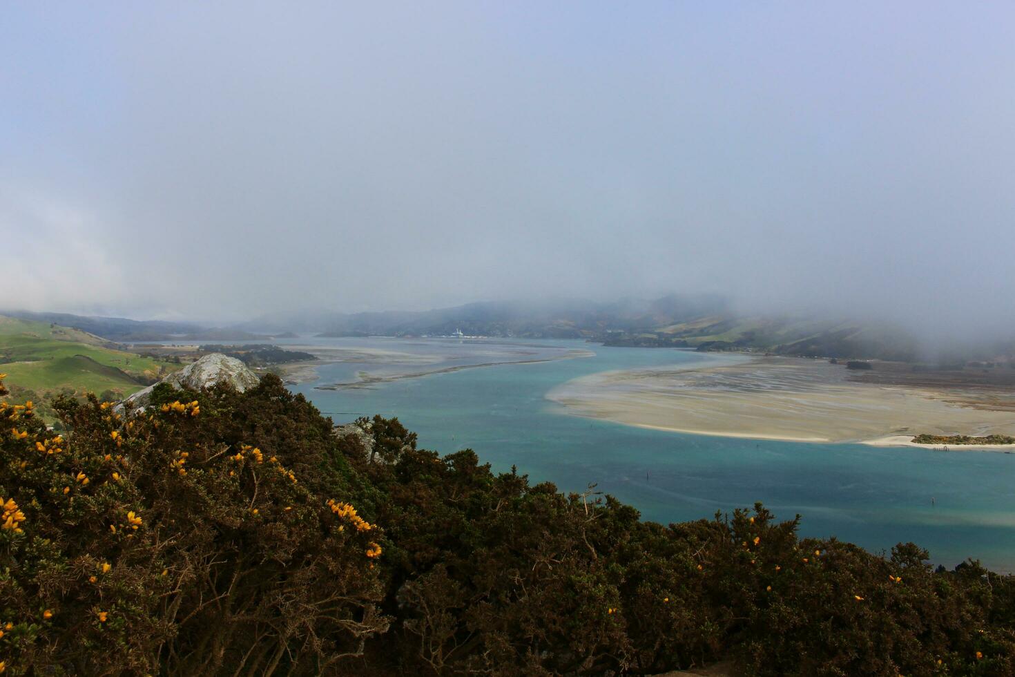 tairoa testa, dunedin nuovo Zelanda foto