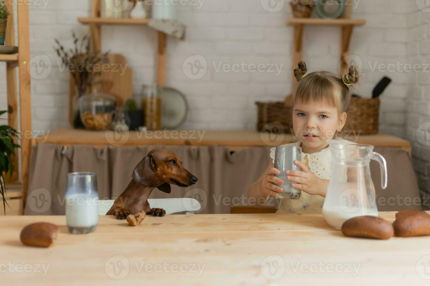 un' poco contento ragazza giocando con un' bassotto cane nel il cucina foto