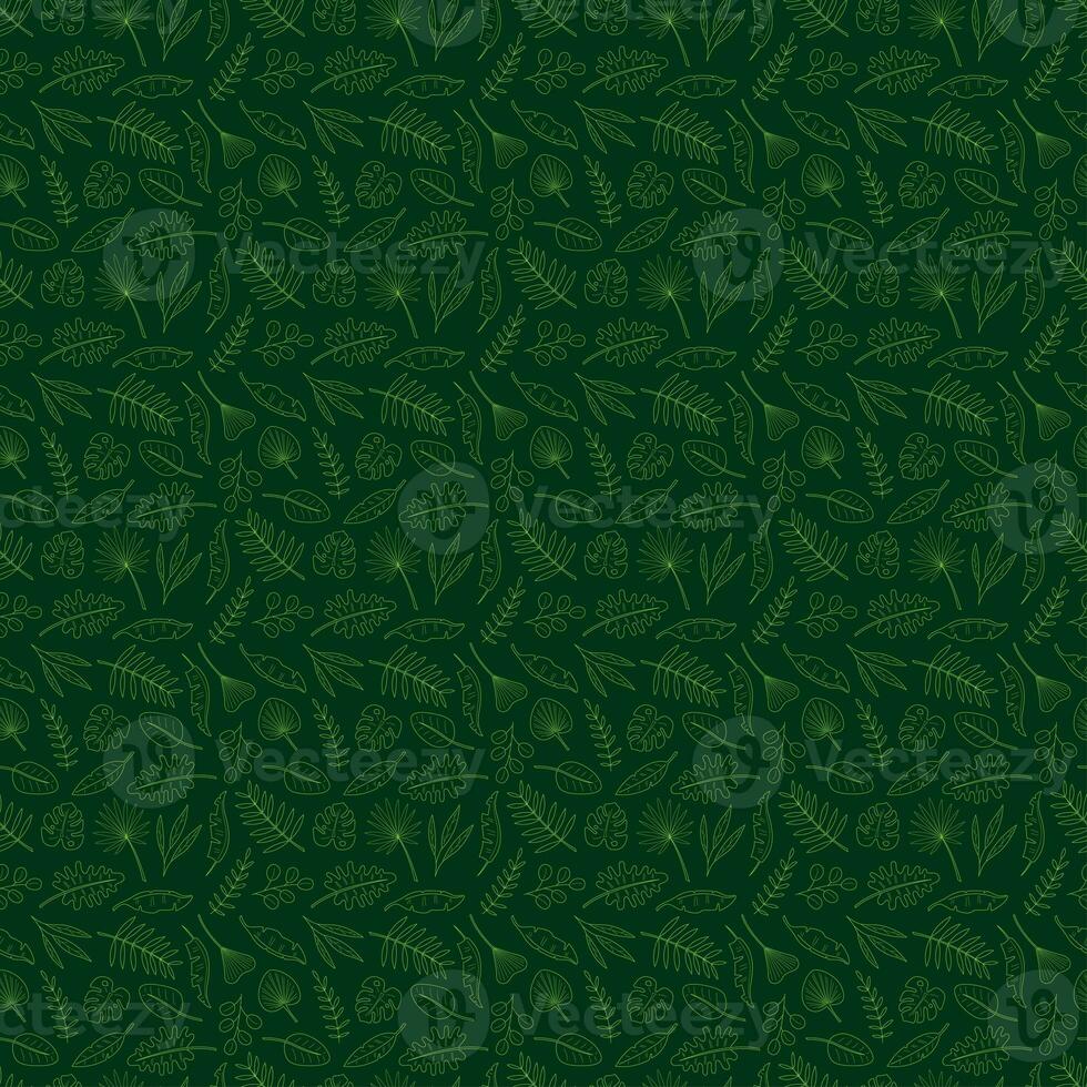 senza soluzione di continuità modello con 13 diverso palma le foglie su buio verde sfondo. scarabocchio colore vettore illustrazione. foto