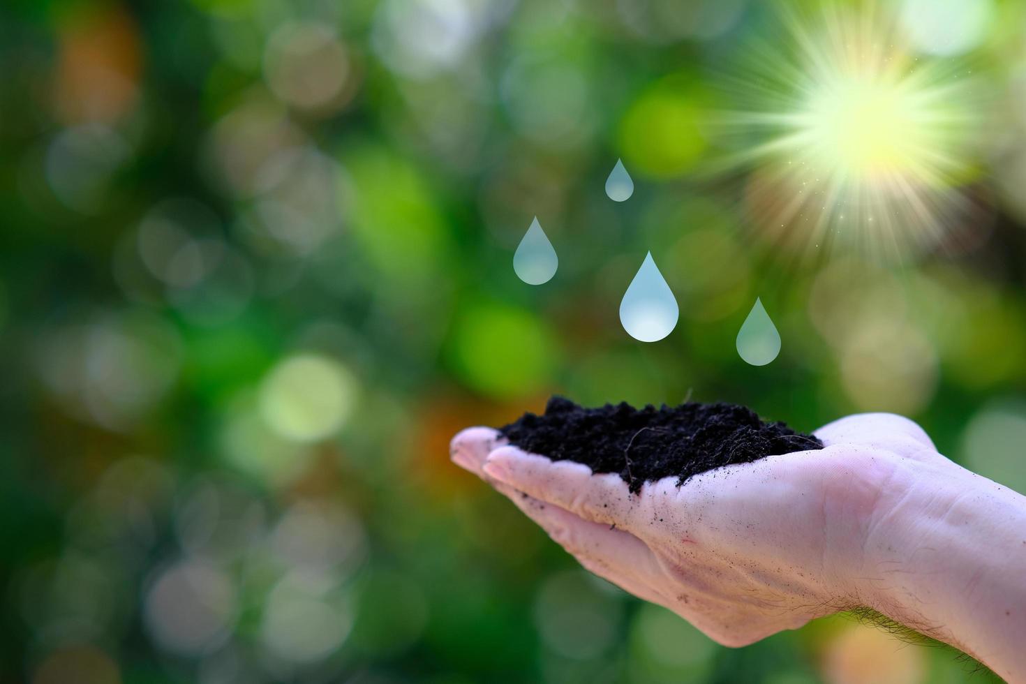 mano che tiene il terreno con gocce d'acqua su uno sfondo di natura bokeh foto