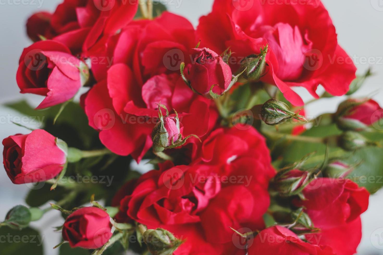 bouquet di rose rosse foto