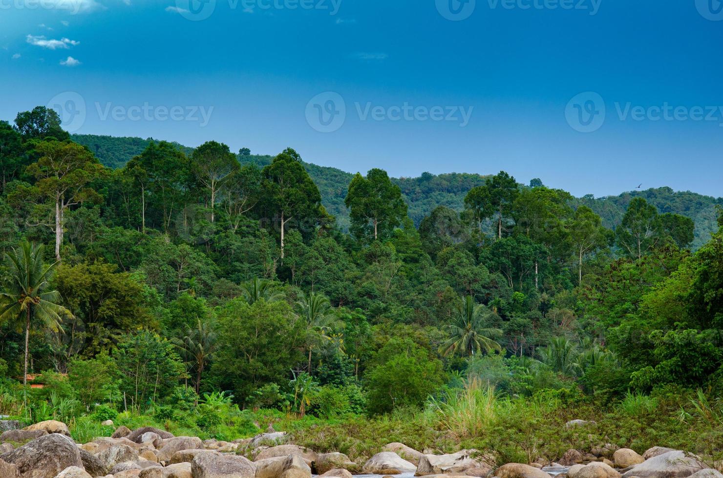 foresta khiriwong paesaggio del piccolo fiume e bellissimo tramonto keeree wong ban khiri wong villaggio nakhon si thammarat thailandia foto