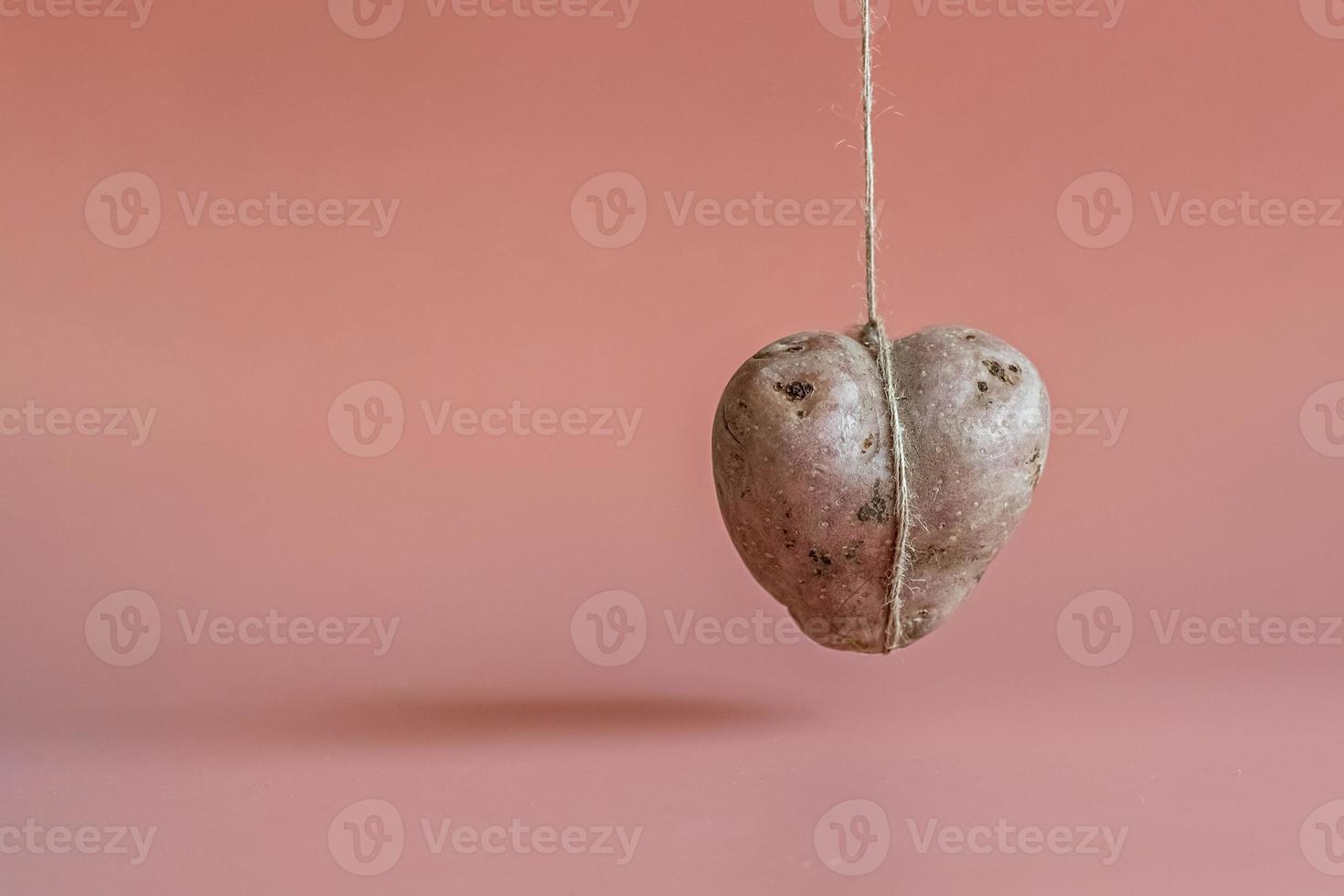 patate a forma di cuore su uno sfondo rosa. il concetto di agricoltura, raccolta, vegetarianismo. foto