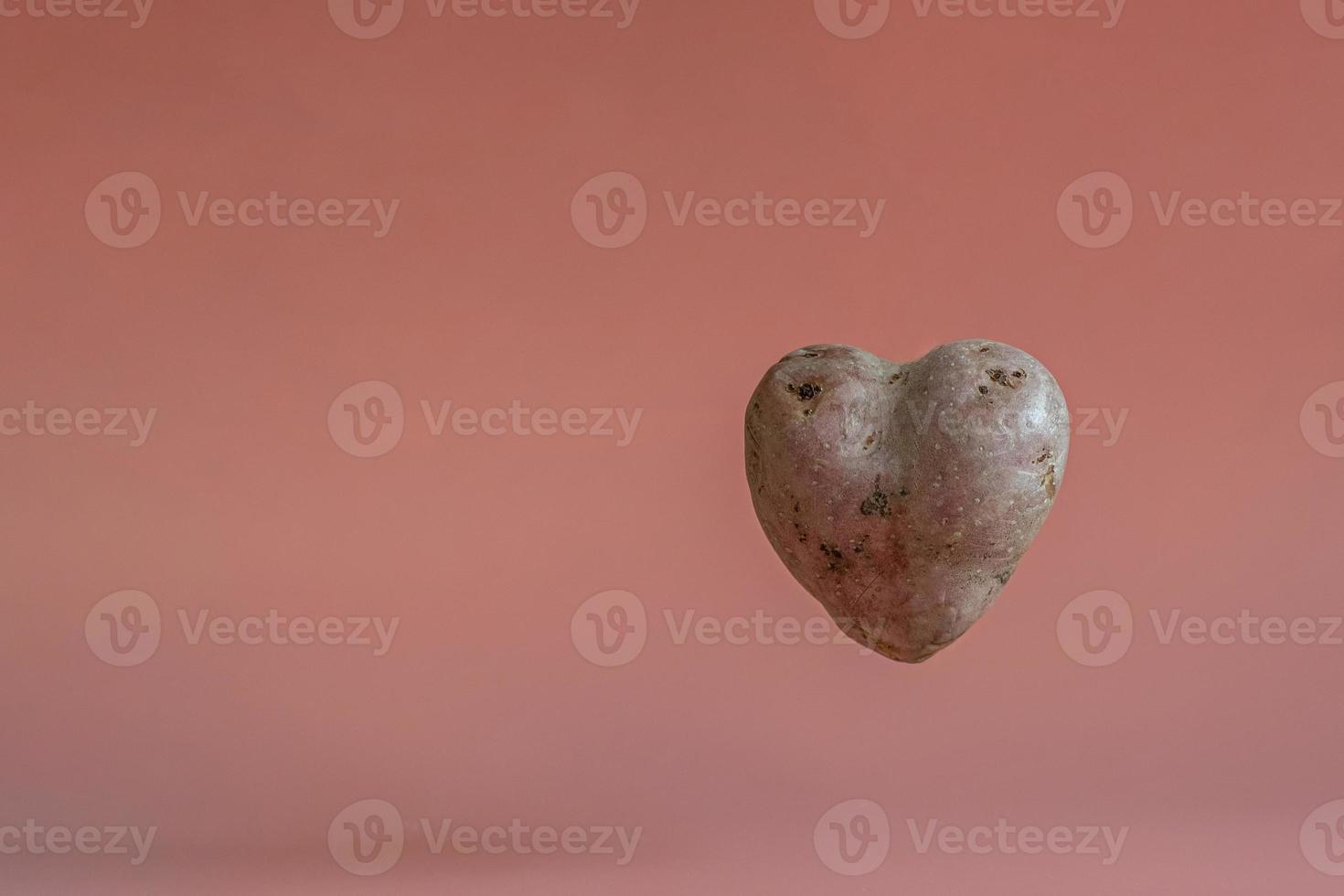 patate a forma di cuore su fondo rosa con effetto levitazione. il concetto di agricoltura, raccolta, vegetarianismo. foto