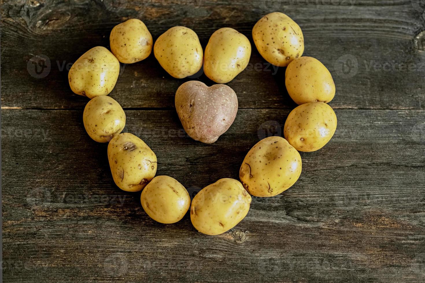 patata rossa a forma di cuore all'interno del cuore foderato con patate bianche su sfondo di legno.il concetto di agricoltura, raccolta, vegetarianismo. San Valentino. foto