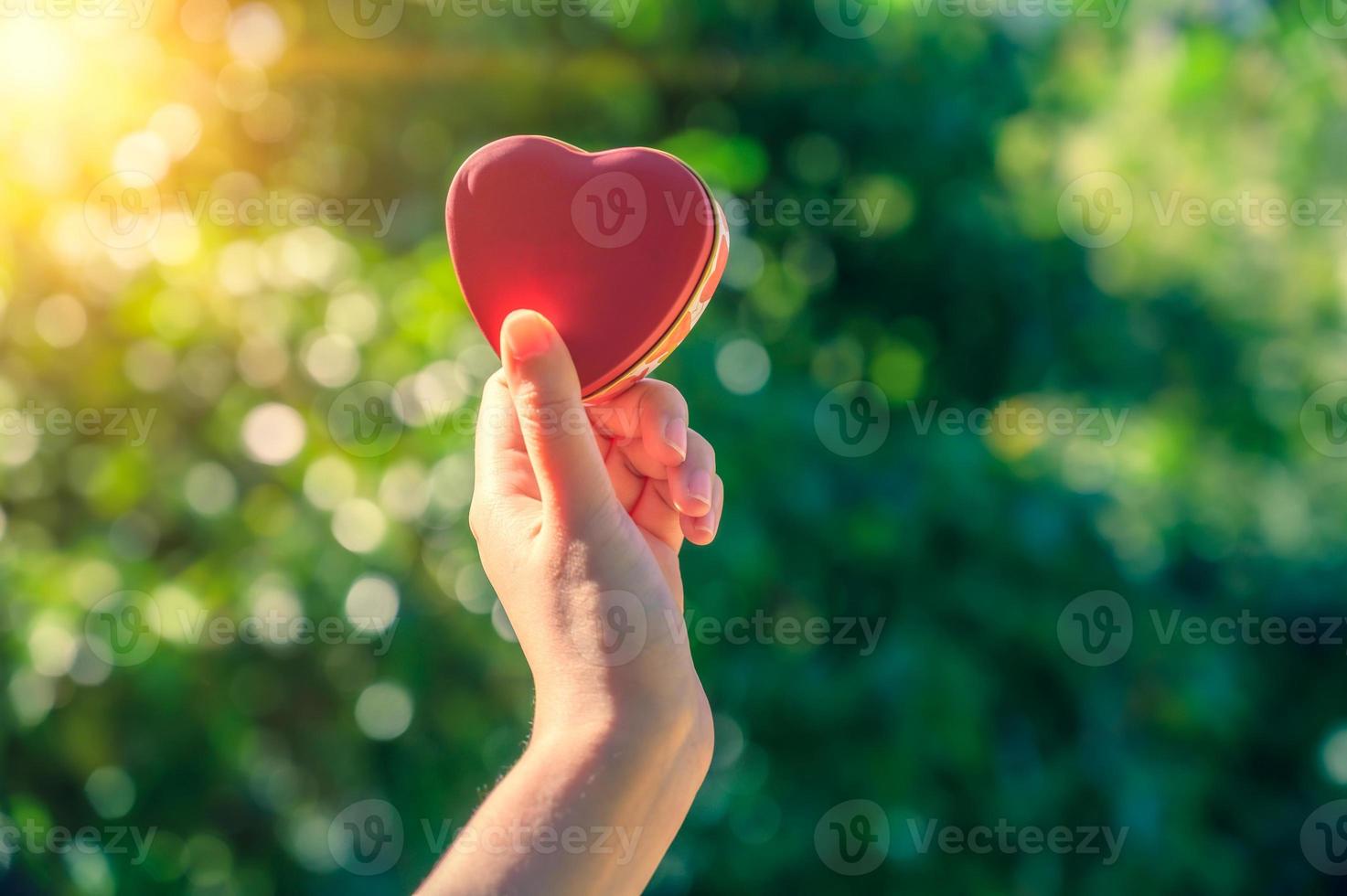 le mani delle donne e degli uomini sono a forma di cuore con la luce del sole che passa attraverso le mani foto