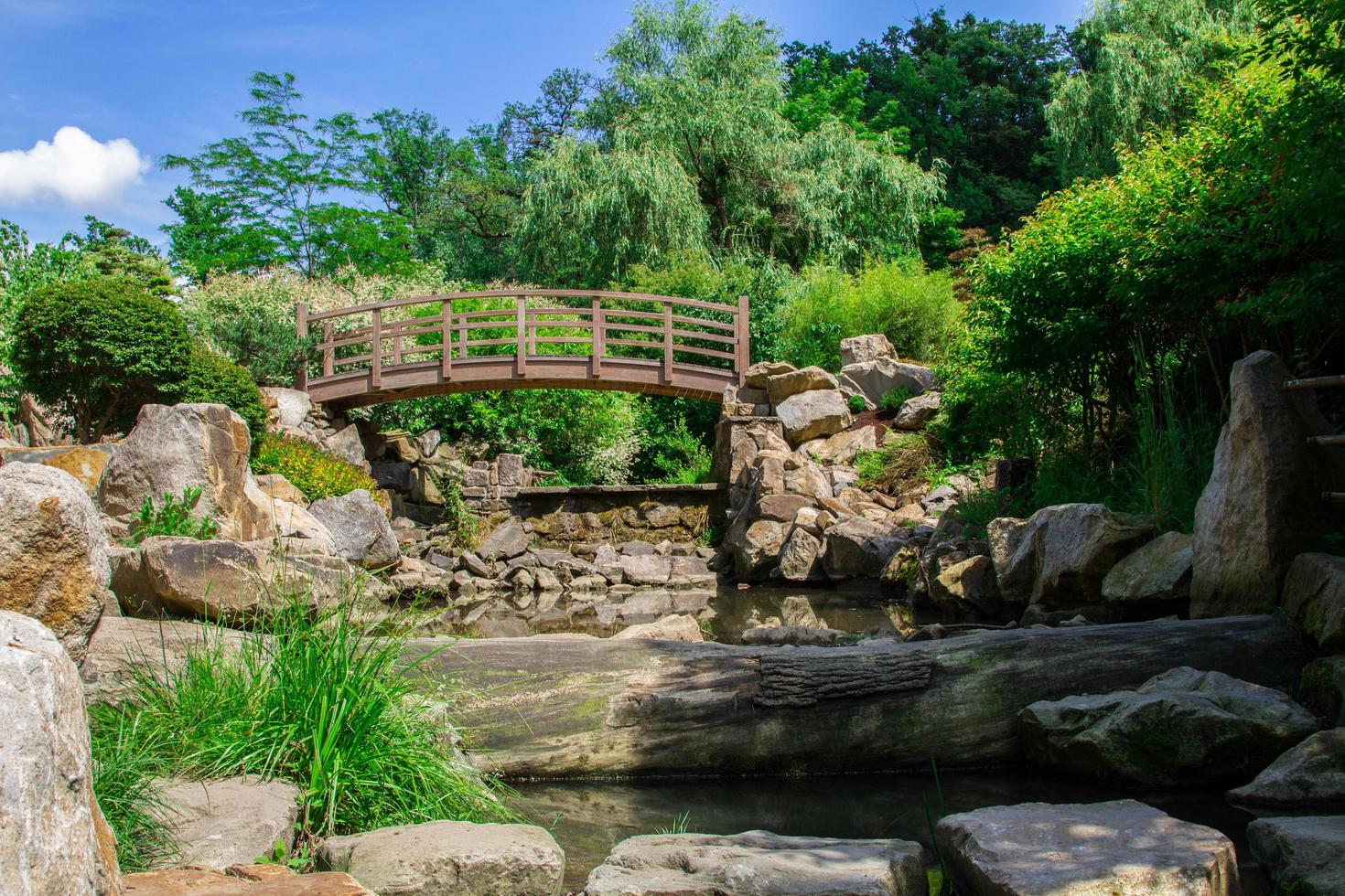 ponte sul fiume foto