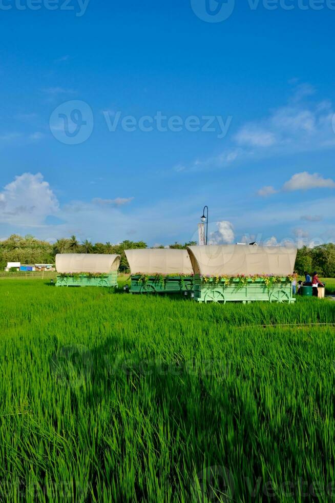 vivace verde i campi e un' blu cielo nel un' rurale paesaggio. foto