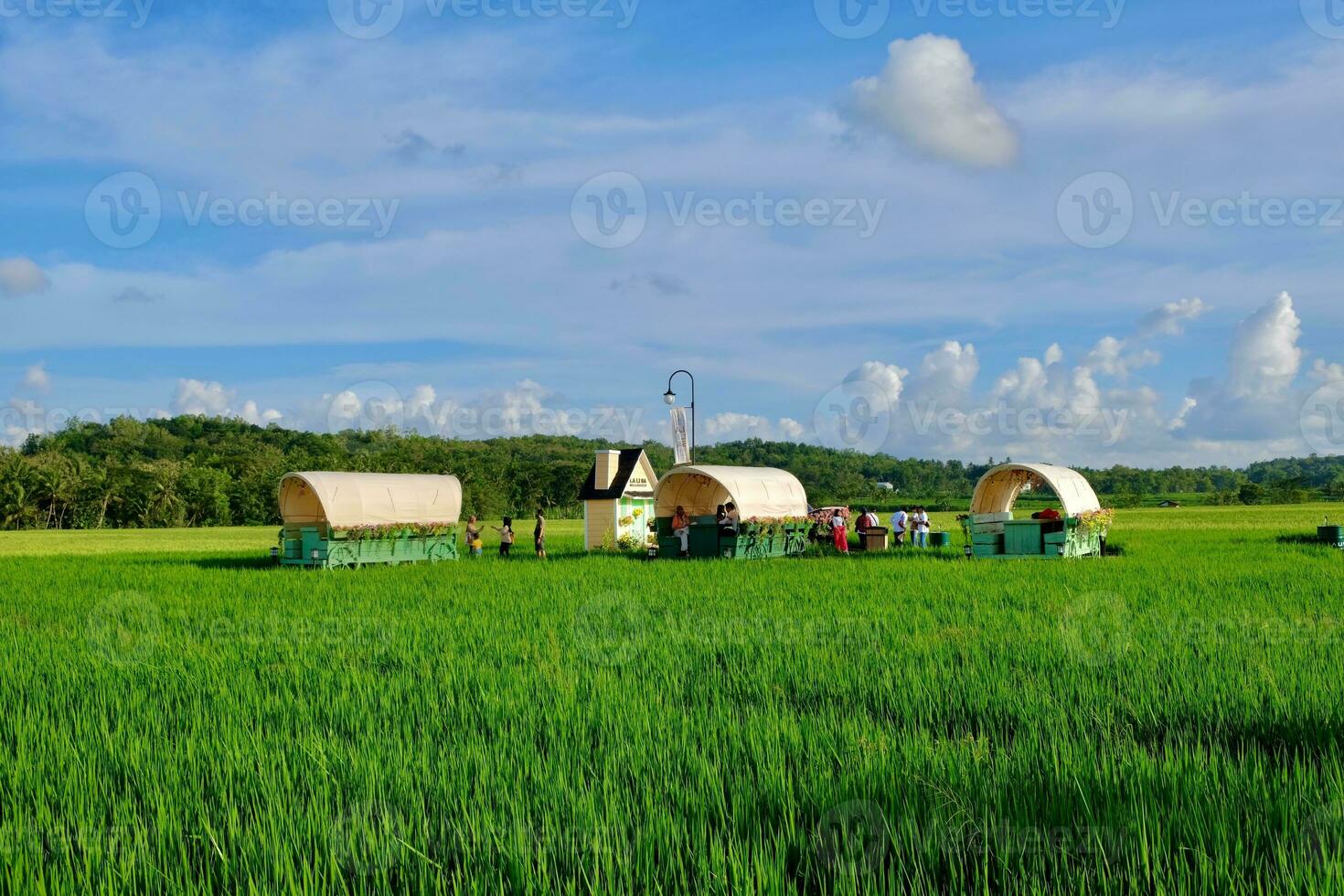 verde campo con cereale Ritaglia, circondato di vasto praterie sotto blu cielo. foto