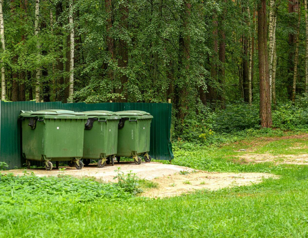 foto spazzatura contenitori sfondo verde foresta o