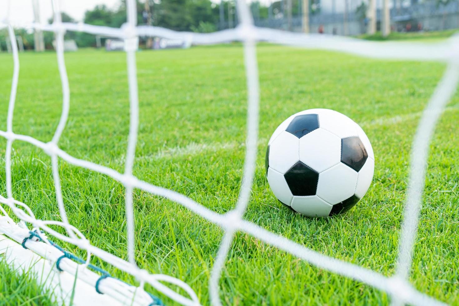 pallone da calcio sul campo da calcio foto