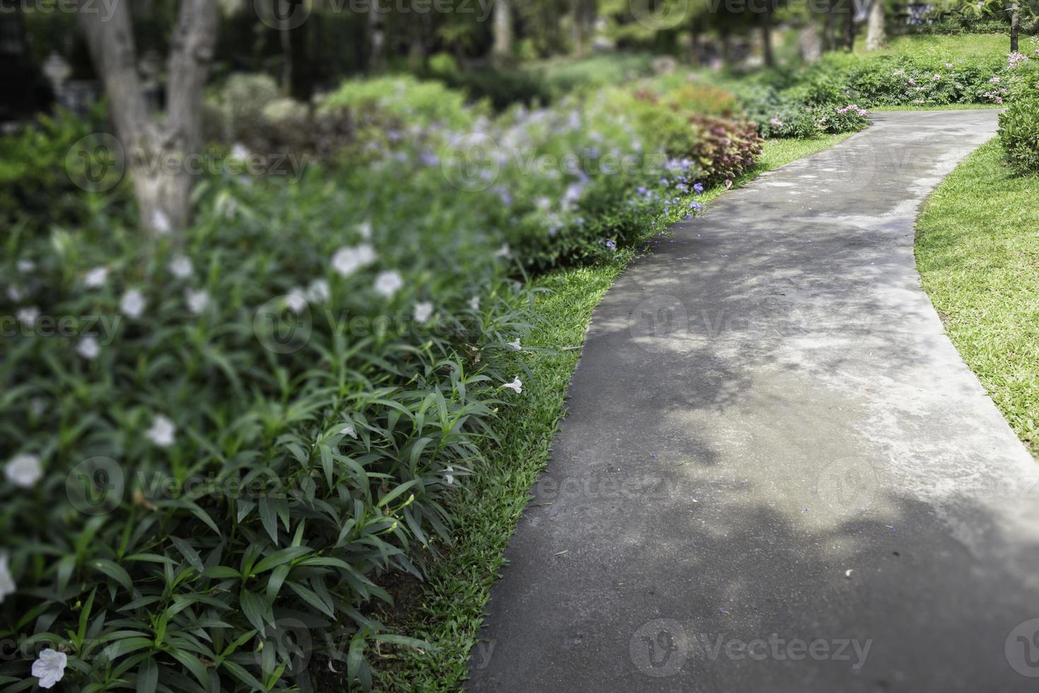 acqua che scorre nel giardino tropicale all'aperto, filmati d'archivio foto