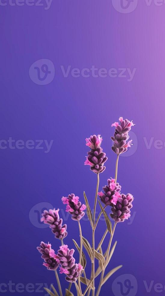 lavanda viola fiore sfocato sfondo. ai generato foto