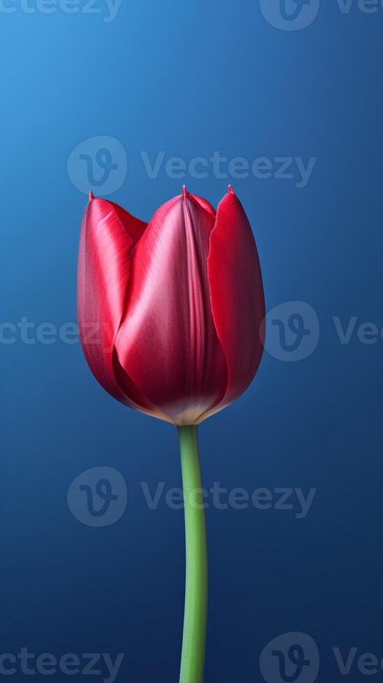 rosa tulipano fiore copia spazio sfocato sfondo. ai generato foto