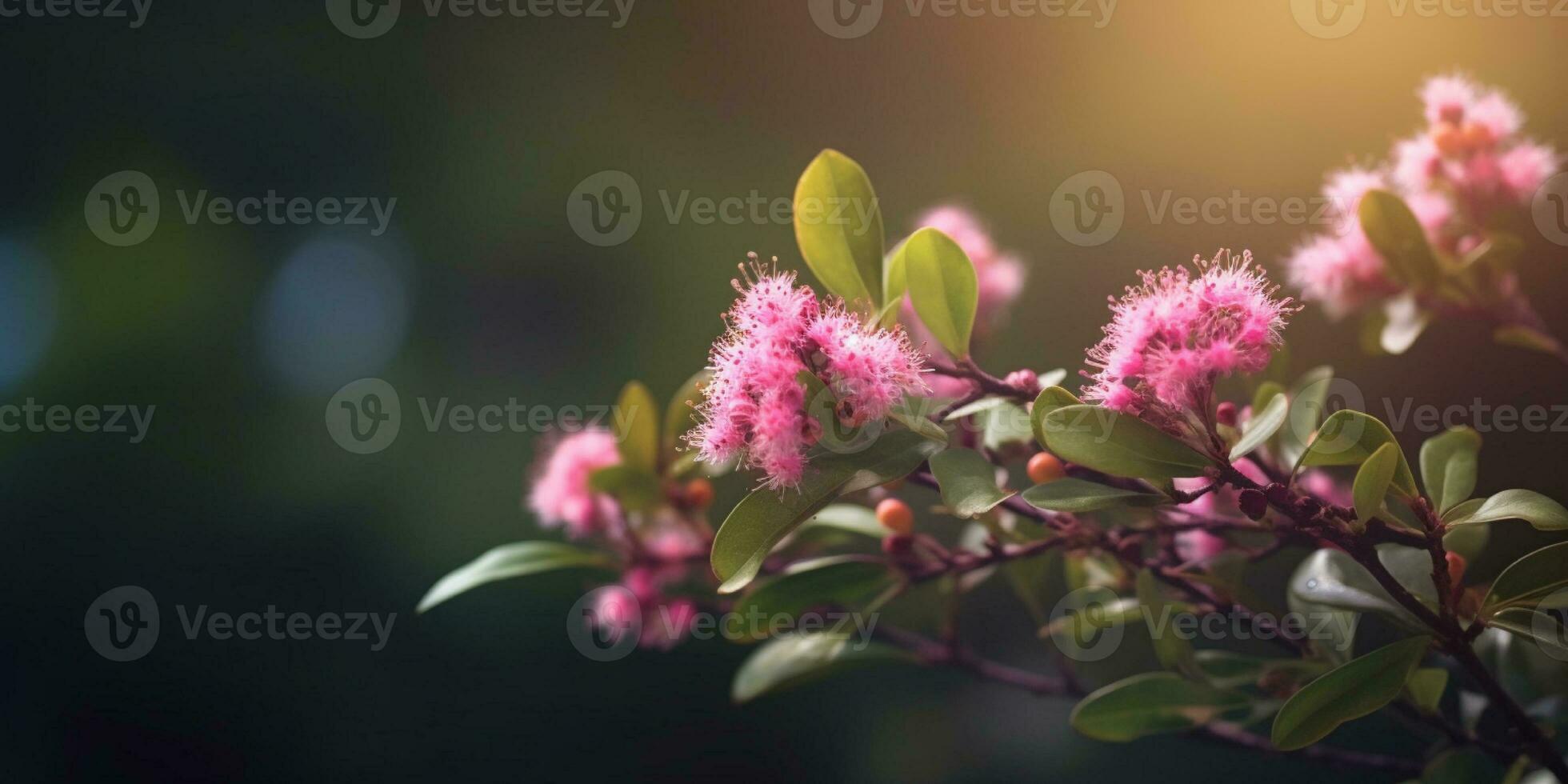 mirto rosa fiore, copia spazio sfocato sfondo, ai generato foto